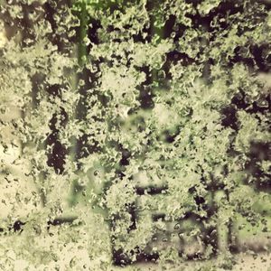 Meet your Posher, Kegan